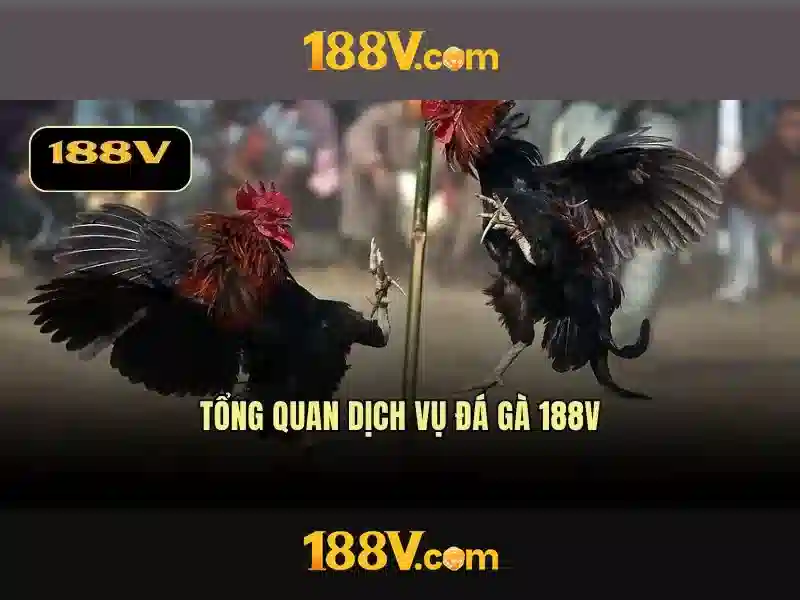 💎lũ các sông miền bắc💎 💎lũ các sông miền bắc💎