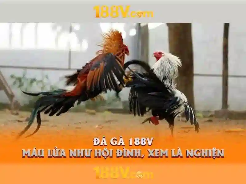 💎threshold slot drains💎 💎threshold slot drains💎