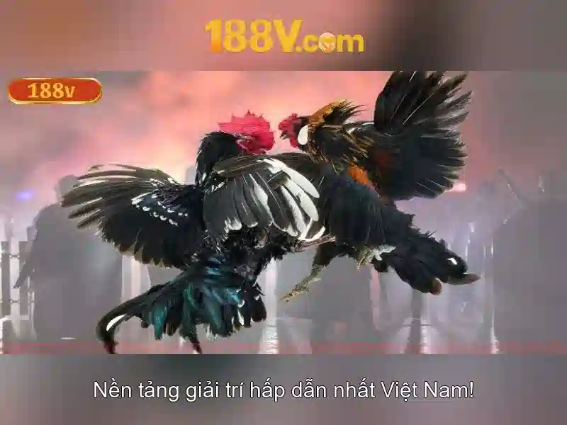 💎danh sách bác sĩ, bệnh viện tim hà nội💎 💎danh sách bác sĩ, bệnh viện tim hà nội💎