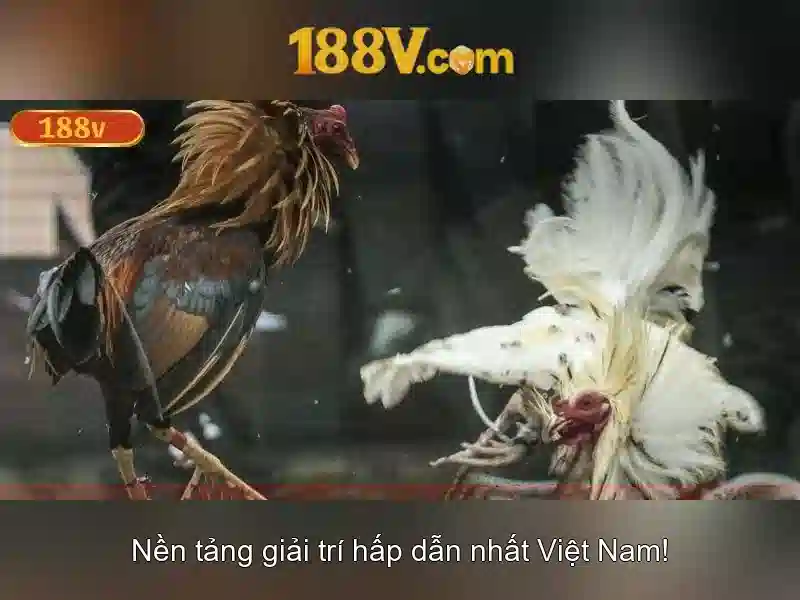 💎top 10 nhà cái uy tí💎 💎top 10 nhà cái uy tí💎