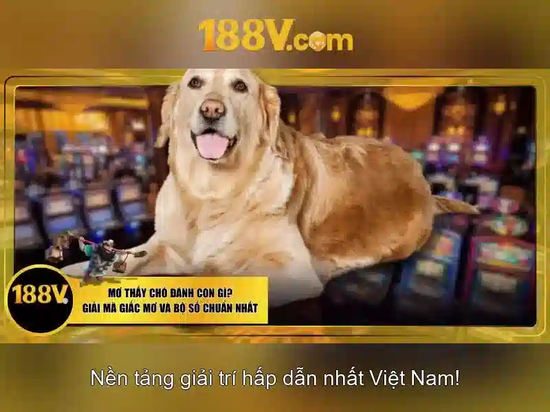 💎song bac ma cau 2💎 💎song bac ma cau 2💎