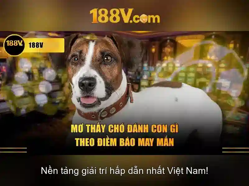 💎slots empire casino real money💎 💎slots empire casino real money💎