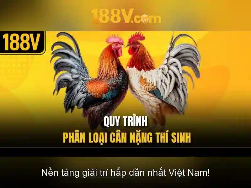 💎online slot achines💎 💎online slot achines💎