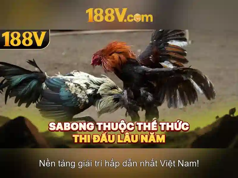 💎sunrise slots no deposit bonus 2024💎 💎sunrise slots no deposit bonus 2024💎