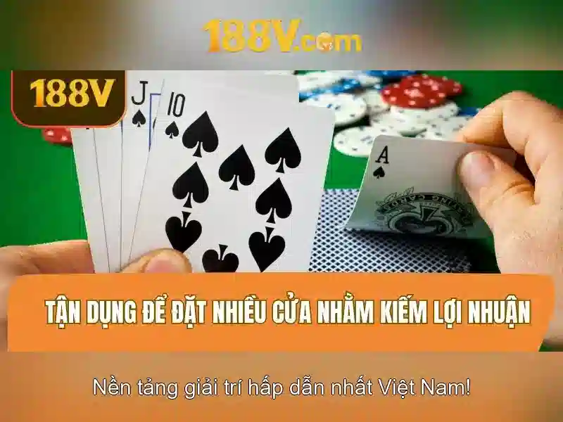 💎parachain slot auctions💎 💎parachain slot auctions💎