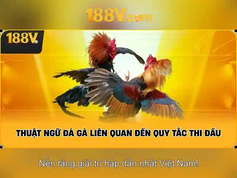 💎interview slots meaning💎 💎interview slots meaning💎