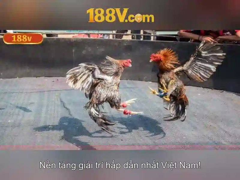 💎dog69 slot💎 💎dog69 slot💎