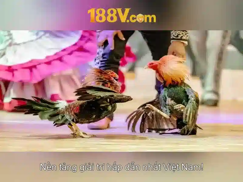 💎6686 nhà cái đỉnh cao tặng 100k tân thủ💎 💎6686 nhà cái đỉnh cao tặng 100k tân thủ💎