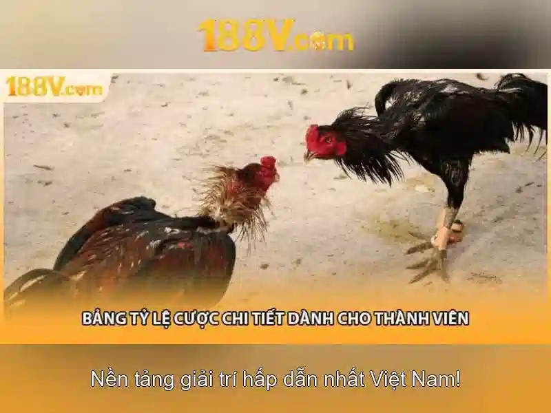 💎nhà cái quy tin💎 💎nhà cái quy tin💎