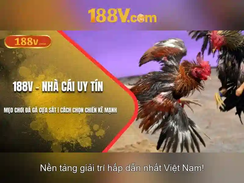 💎franken cash slot💎 💎franken cash slot💎