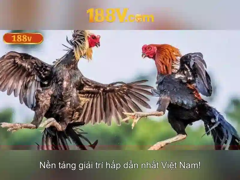 💎slot f💎 💎slot f💎