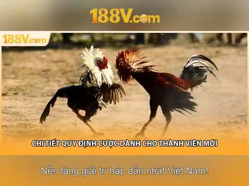 💎aladdin slots deposit💎 💎aladdin slots deposit💎