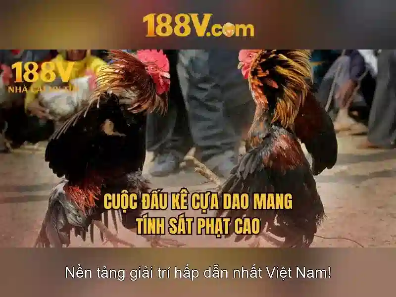 💎slot bang jago 88💎 💎slot bang jago 88💎