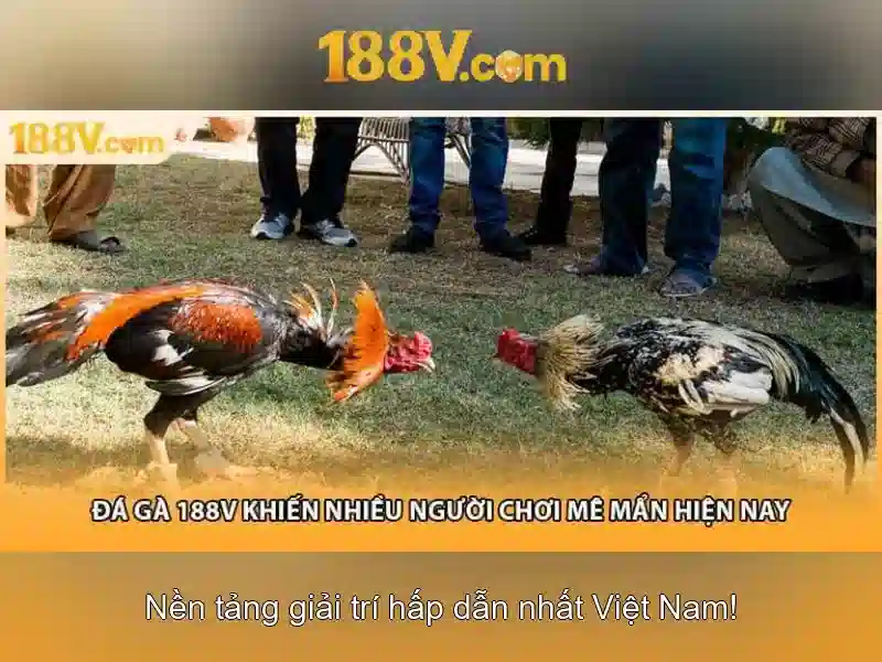 💎song bac big bet💎 💎song bac big bet💎