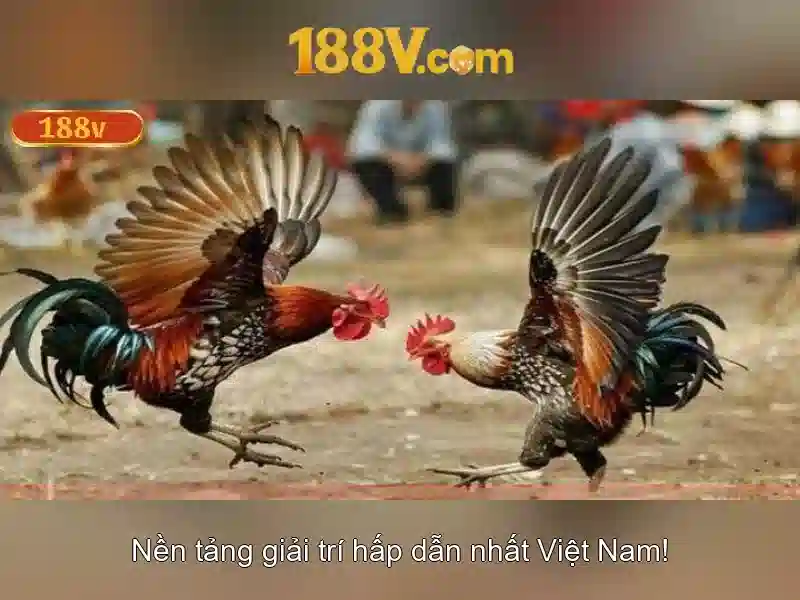 💎top nhà cái uy tín f8bet.bike💎 💎top nhà cái uy tín f8bet.bike💎