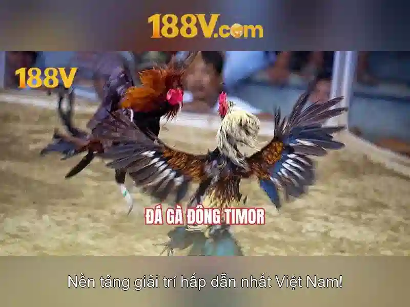 💎crypto slot machine💎 💎crypto slot machine💎