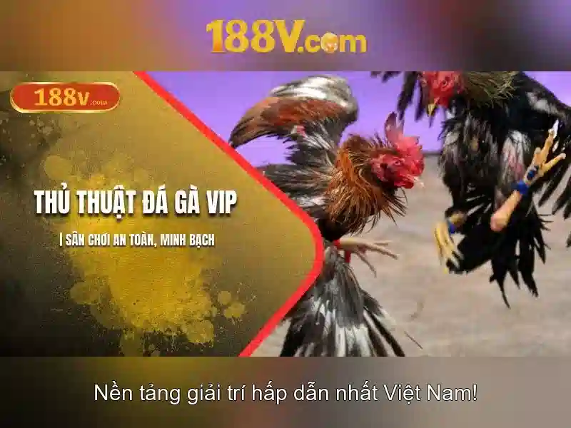 💎schouder op slot💎 💎schouder op slot💎