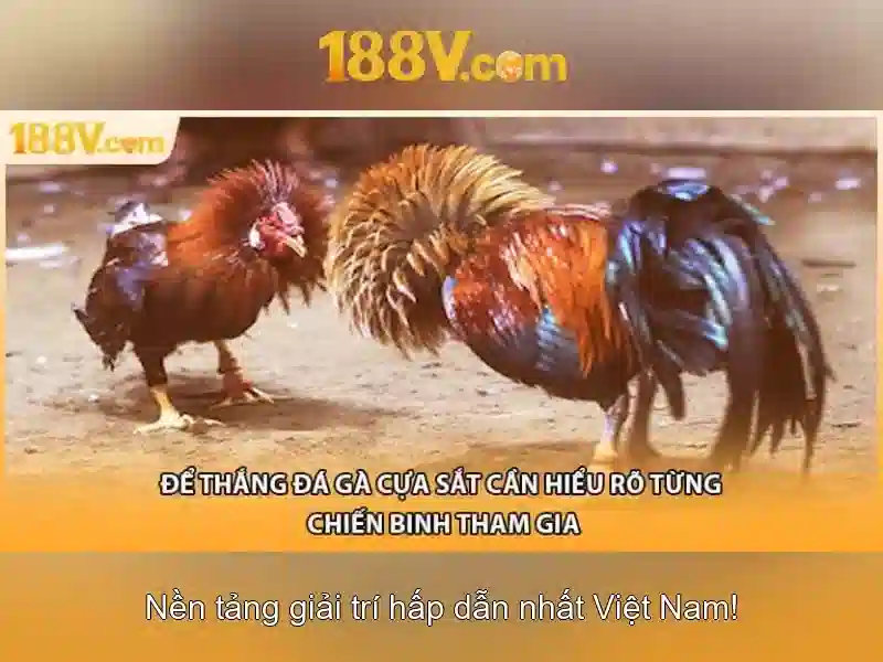 💎777 slots images💎 💎777 slots images💎