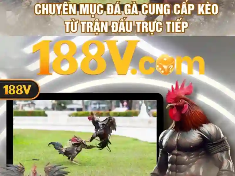 💎trang cá cược bóng đá besse💎 💎trang cá cược bóng đá besse💎