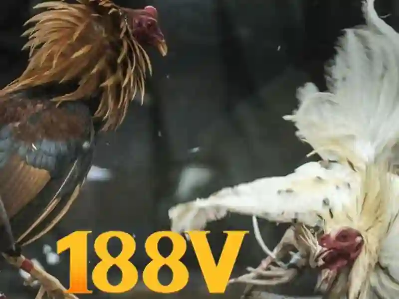 💎dewa slot 888 login💎 - digi 888 slot - 888 jili slot 💎dewa slot 888 login💎 - digi 888 slot - 888 jili slot